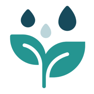 A plant being watered