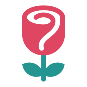 A pink and green rose